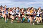 Intermediate Girls 2024 English Schools Cross Country Champs., Pontefract, March 16th.  Photo: David T. Hewitson/Sports for All Pics
